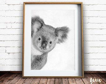 Impression de Koala, Art de mur de pépinière, art de Koala, décor de pépinière, impressionnable de Koala, animal de chéri, imprimablede de pépinière, noir et blanc