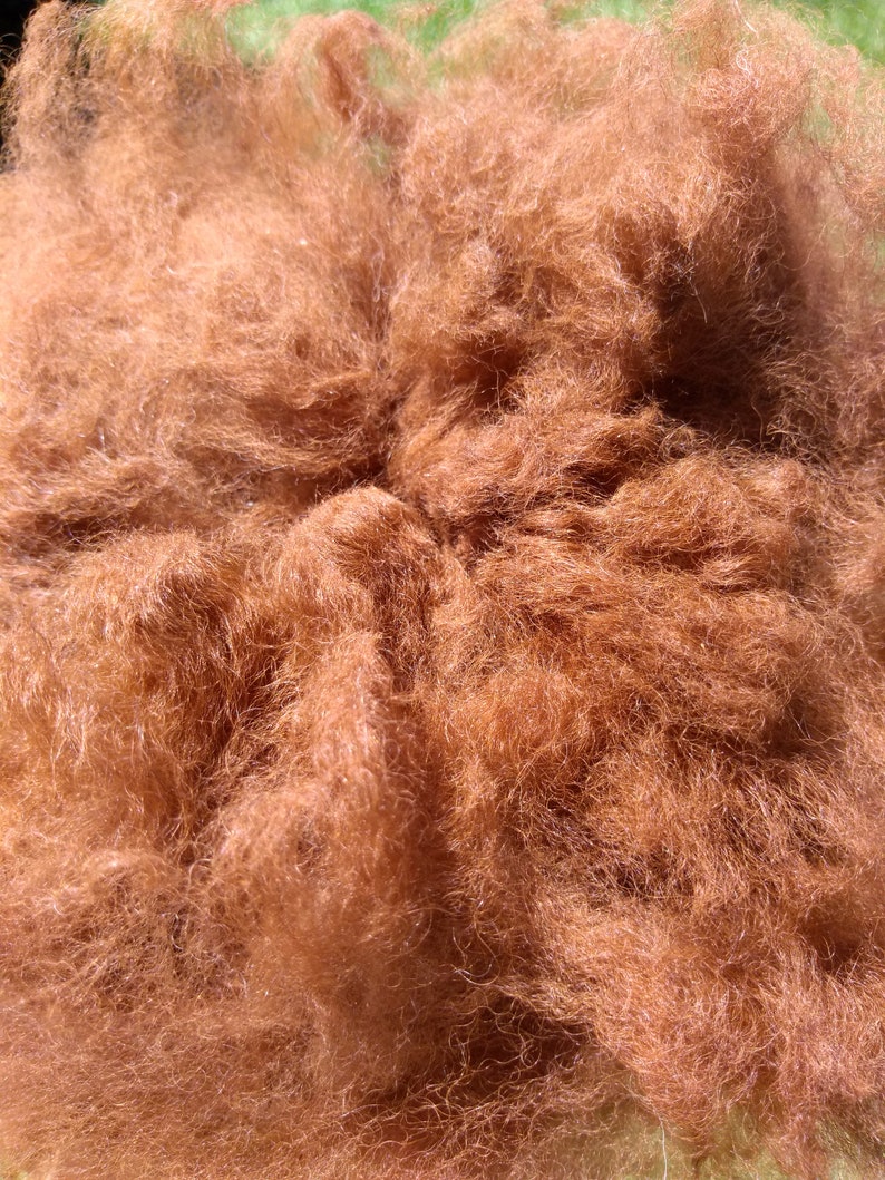 Organic Raw Alpaca Fiber Light Brown Rosa 2018