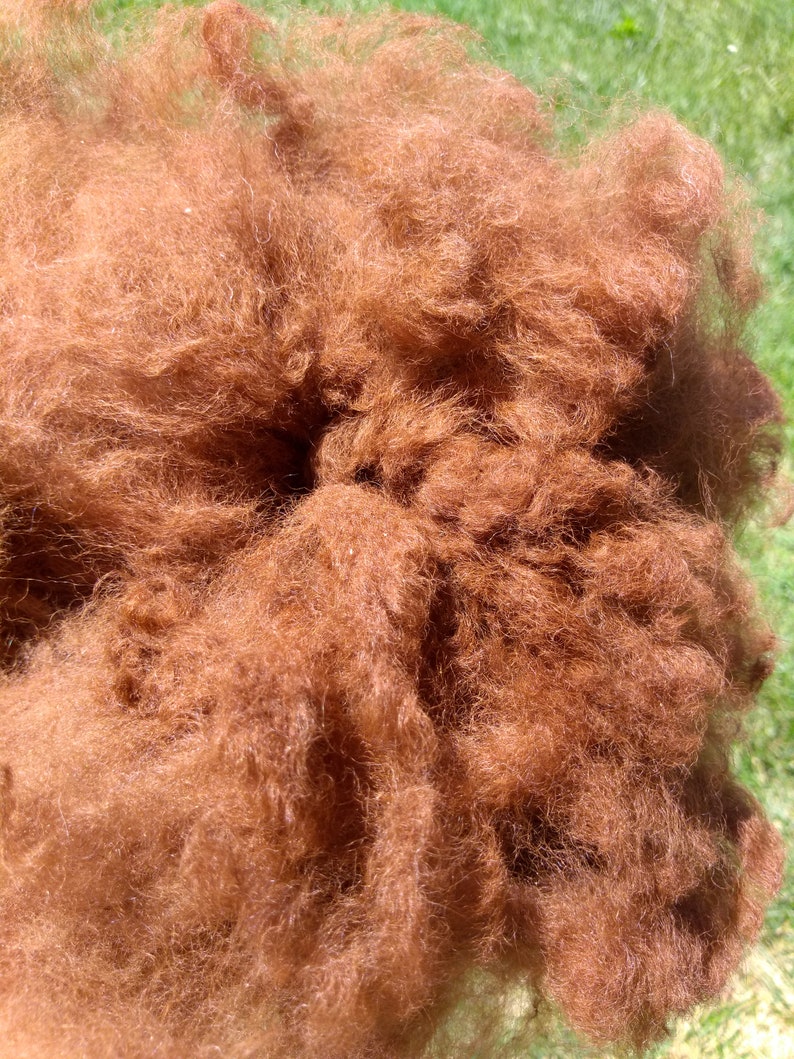 Organic Raw Alpaca Fiber Light Brown Rosa 2018