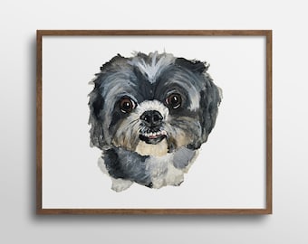 Coco the Shih Tzu Watercolor Art Print