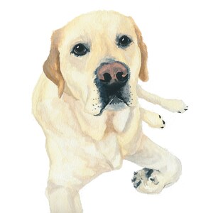 Morgan the English Labrador Retriever Watercolor Art Print image 2