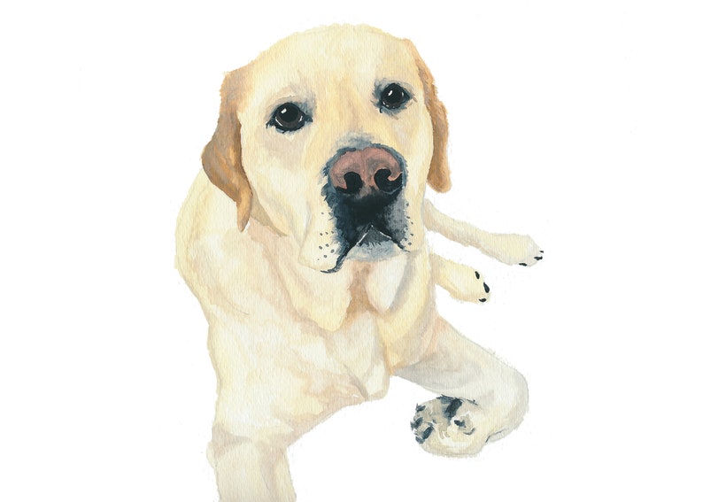 Morgan the English Labrador Retriever Watercolor Art Print image 2