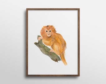 Golden Lion Tamarin Monkey Nursery Animal Watercolor Art Print