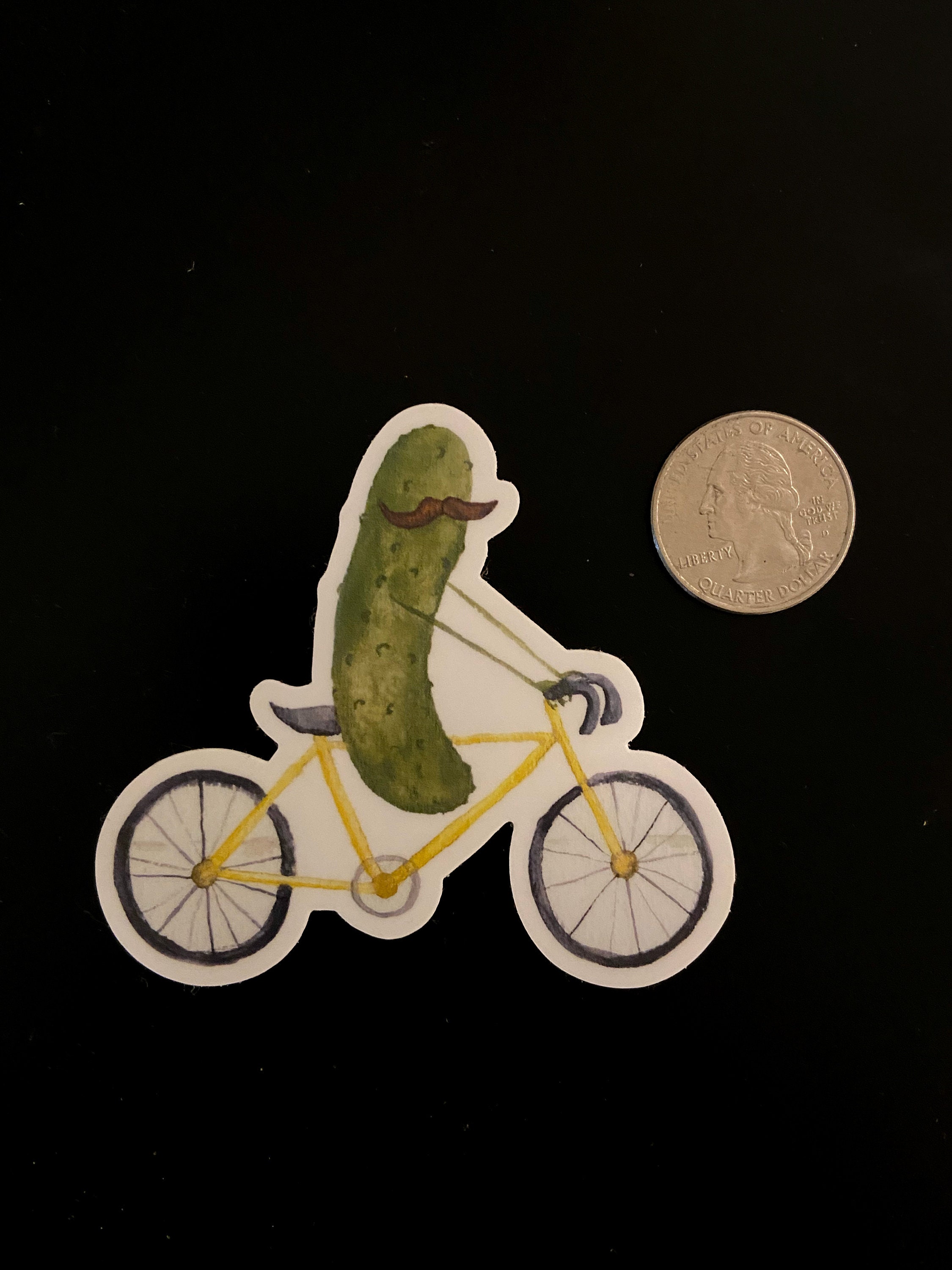 Whimsical Pickle Riding a Bicycle Laptop Water Bottle Stanley Cup ...