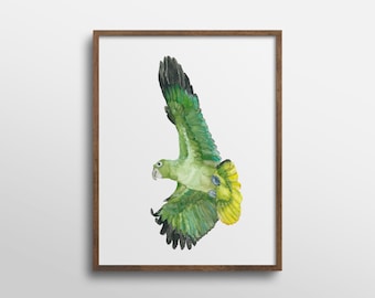 Flying Green Parrot Nursery Animal Watercolor Art Print