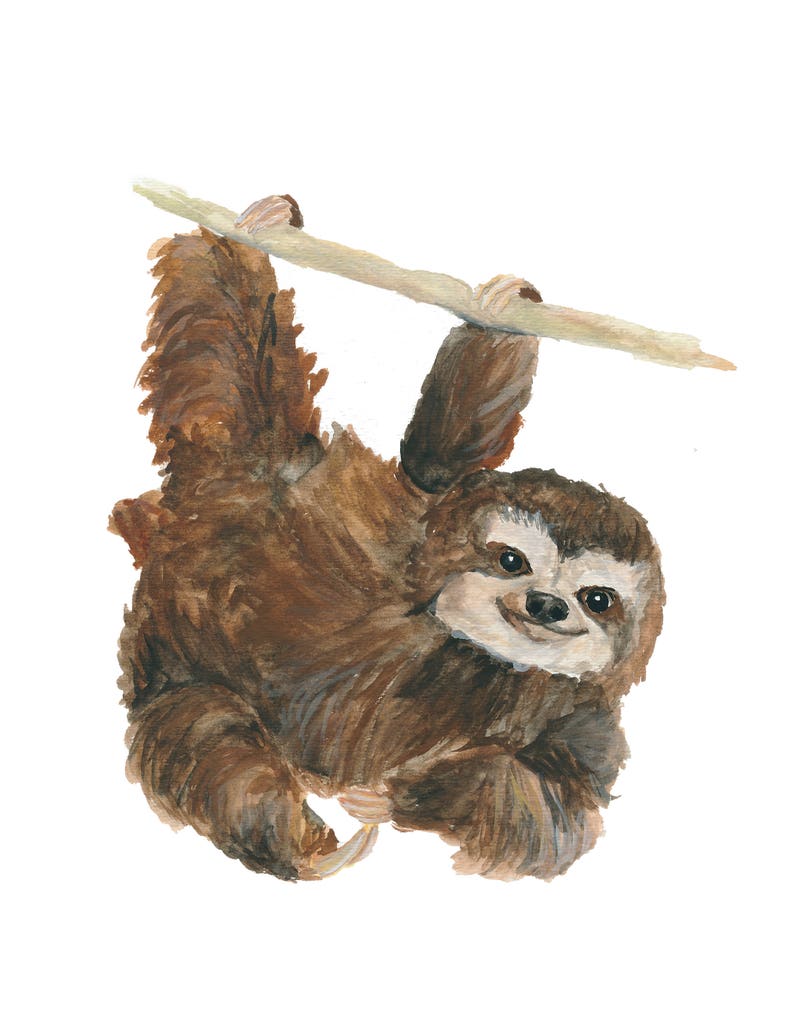 Swinging Sloth Nursery Animal Watercolor Art Print image 4