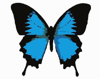 May include: A blue butterfly with black wings and a black body.