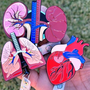 Lungs Retractable Badge Reels, Anatomy ID Holder, Respiratory Therapy Lanyard, Healthcare image 6