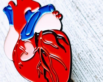 Anatomical Heart Retractable Badge Reels, Cardiovascular ID Badge Holder, Doctor Thank You Gift, Nursing Medical School Student Clip, Murse