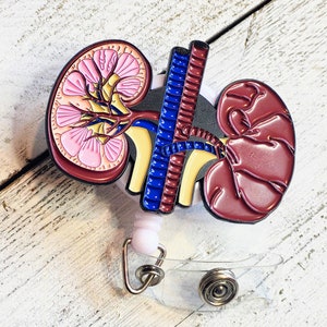 Porte-cartes d'identité pour anatomie rénale, cadeau de remerciement pour le médecin, copain rétractable anatomique, bobines pour infirmière en dialyse, cadeau échographiste, infirmière inf.