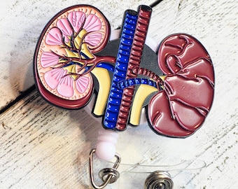 Kidney Anatomy ID Holder, Doctor Thank You Gift, Anatomical Retractable Buddy, Dialysis Nurse Reels, Sonographer Present, RN Murse