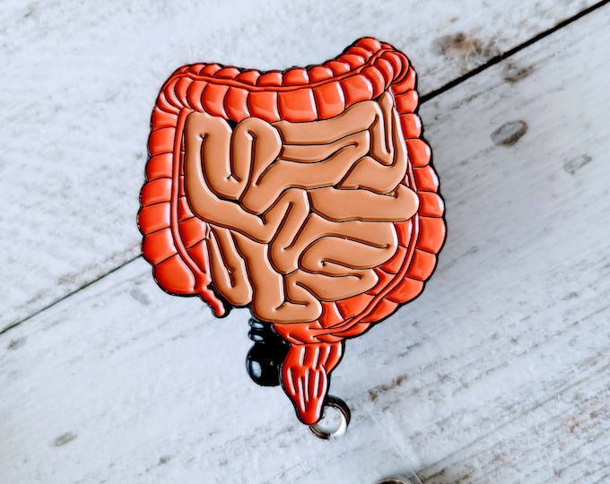 Intestine Anatomy Badge Buddy, Gastroenterology Retractable Badge Reels, Anatomical Clip, GI Nurse Lanyard, Healthcare Christmas Present