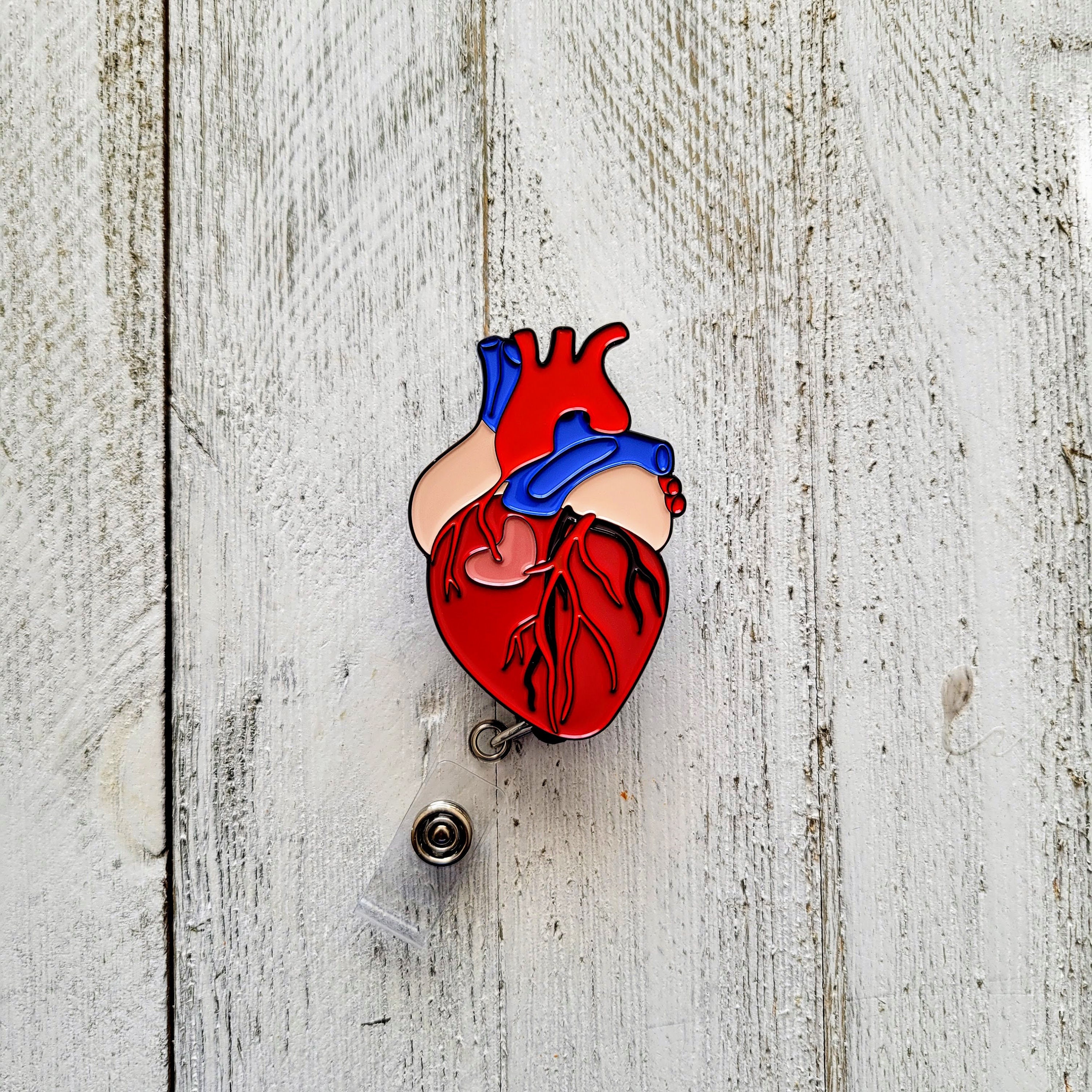 Anatomical Heart Retractable Badge Reels, Cardiovascular ID Badge