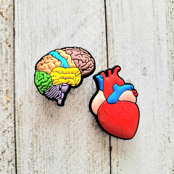 Anatomical Heart Brain Shoe Charm, Jibbitz, Healthcare Gift, Surgery, Cardiology, Mental Health Awareness