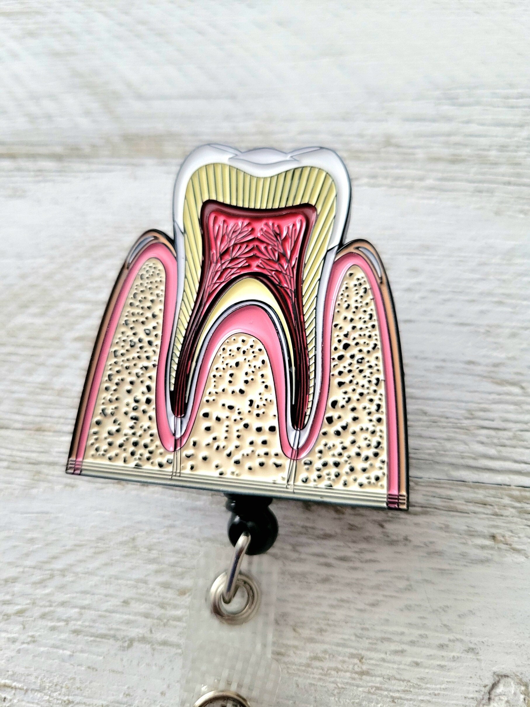 Cool Enamel Tooth Badge Reel, Dentist Retractable ID Holder