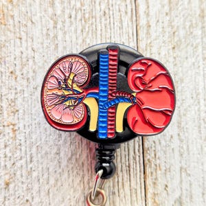 Anatomical Mini Kidney Professional Custom ID Holder Badge Reels