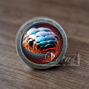 May include: A close-up of a round, silver-toned cabinet knob featuring a colourful snake design. The snake has a blue and green body with red and orange scales. The knob is on a wooden surface.