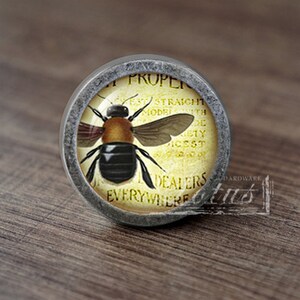 Insect—Handmade Vintage Antique Drawer Knobs Pulls Handles/Dresser Knobs Cabinet Pull handles / Furniture Hardware