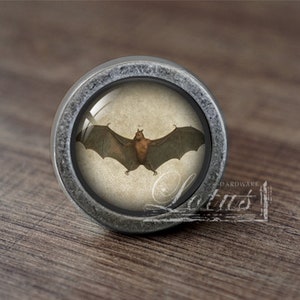May include: A silver knob with a round, glass-like surface featuring a vintage illustration of a bat with brown fur and outstretched wings.