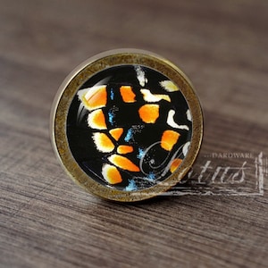 May include: A round, brass-colored cabinet knob with a glass insert featuring a close-up of a butterfly wing with orange, black, and blue patterns.