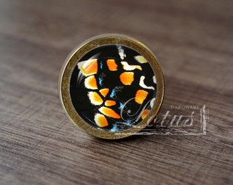 Butterfly Wing —Handmade Vintage Antique Drawer Knobs Pulls Handles/Dresser Knobs Cabinet Pull handles / Furniture Hardware