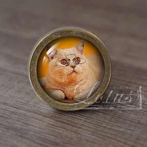 May include: A round, brass-coloured knob with a glass insert featuring a cat wearing glasses. The cat is light orange and has a yellow background.