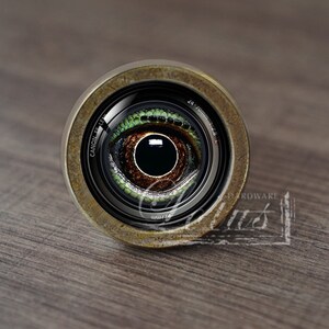 Puede incluir: Un primer plano de un pomo de lente de cámara redondo de color latón con un diseño de ojo detallado. La lente está etiquetada "Canon EF 14-100mm 1:5.6L IS USM".