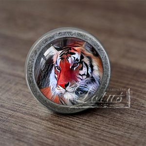 May include: A round, silver-toned cabinet knob with a glass insert featuring a close-up image of a tiger's face. The tiger has orange, black, and white stripes and a red nose.