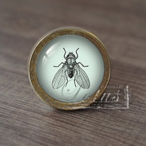 Peut inclure: Un bouton de porte rond en laiton avec un insert en verre représentant une illustration vintage d'une mouche. Le verre a un fond bleu clair.