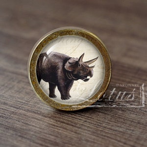 Może przedstawiać: Okrągły, mosiężny gałka do szafki z wkładką szklaną przedstawiającą szczegółową ilustrację brązowego dinozaura Triceratopsa na białym tle.