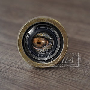 Puede incluir: Primer plano de un objetivo de cámara con un ojo dorado mirando a través del centro. El objetivo está rodeado por un anillo de color latón.