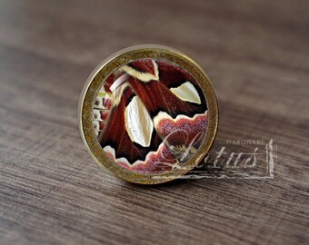 Butterfly Wing —Handmade Vintage Antique Drawer Knobs Pulls Handles/Dresser Knobs Cabinet Pull handles / Furniture Hardware