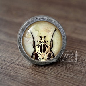 May include: A silver knob with a glass insert featuring a detailed illustration of a beetle with black and white markings on a yellow background.