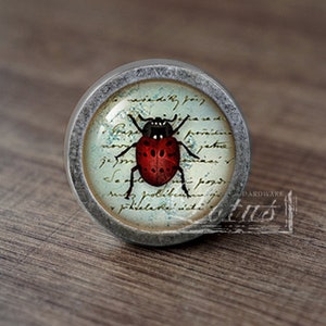 Insect—Handmade Vintage Antique Drawer Knobs Pulls Handles/Dresser Knobs Cabinet Pull handles / Furniture Hardware