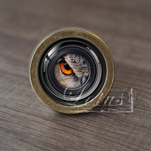Puede incluir: Primer plano de un objetivo de cámara con un ojo de búho en el centro. El objetivo está rodeado por un anillo de color latón.