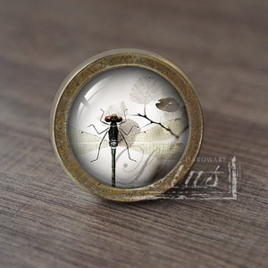 Könnte beinhalten: Ein runder, messingfarbener Schrankknopf mit einem Glaseinsatz, der eine schwarze Libelle mit roten Augen und durchscheinenden Flügeln vor weißem Hintergrund zeigt. Die Libelle ist mittig im Glaseinsatz platziert, und im Hintergrund sind schwach erkennbare Umrisse von Blättern zu sehen.