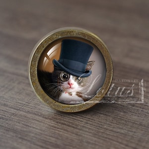 May include: A round, brass-coloured knob with a glass insert featuring a cat wearing a top hat and round glasses. The cat has white fur on its chest and a black nose.
