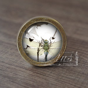 Könnte beinhalten: Ein runder, messingfarbener Schrank-Knopf mit einem Glaseinsatz, der eine Libelle mit grünen und blauen Flügeln vor weißem Hintergrund zeigt.