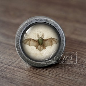 May include: A silver knob with a round, glass-like surface featuring a vintage illustration of a bat with brown wings and a green body.