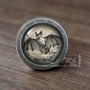 May include: A silver knob with a round, raised, textured rim. The knob has a glass insert with a black and white image of a bat with its wings spread.