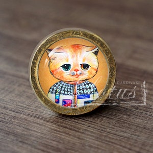 May include: A round, brass-coloured cabinet knob with a glass insert featuring a cartoon cat with orange fur, blue and green eyes, and a colourful patterned sweater.