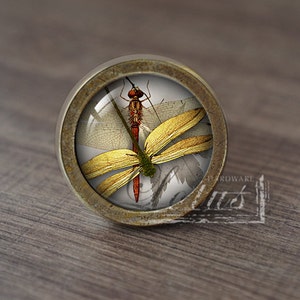 Könnte beinhalten: Ein runder, messingfarbener Schrankknopf mit einem Glaseinsatz, der ein detailliertes Bild einer Libelle mit gelben Flügeln und einem roten Körper zeigt.