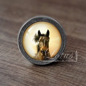 May include: A round, silver-colored cabinet knob with a glass insert featuring a brown horse's head against a yellow and orange background.