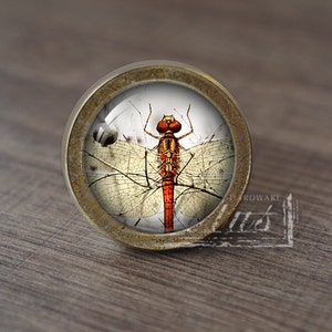 Könnte beinhalten: Ein runder, messingfarbener Schrank-Knopf mit einem Glaseinsatz, der eine detaillierte Illustration einer Libelle mit roten und braunen Flügeln zeigt.