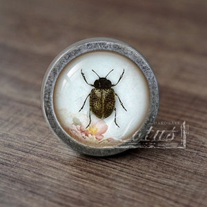 Insect—Handmade Vintage Antique Drawer Knobs Pulls Handles/Dresser Knobs Cabinet Pull handles / Furniture Hardware