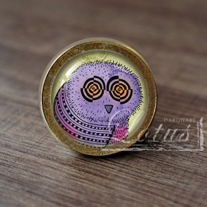May include: A purple and pink owl with swirling orange eyes on a round, brass-colored knob. The knob is a decorative hardware piece.