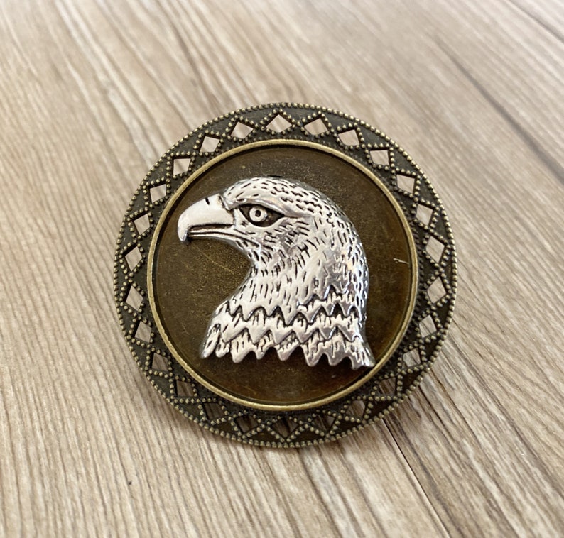 May include: A silver eagle head with a detailed design is featured on a round, bronze-coloured pendant with a decorative border.