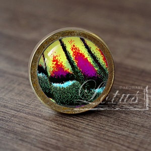 May include: A round, brass-colored cabinet knob with a glass insert featuring a colorful butterfly wing pattern. The pattern is a mix of yellow, red, pink, blue, and black.