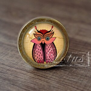 May include: A round, brass-colored cabinet knob with a glass insert featuring a pink and red owl with blue eyes. The owl is surrounded by a brown and white patterned background.