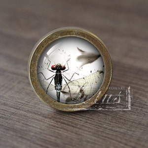 Könnte beinhalten: Ein runder, messingfarbener Schrankknopf mit einem Glaseinsatz, der eine schwarze Libelle mit roten Augen und weißen Flügeln zeigt.